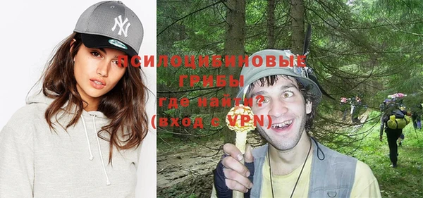 герыч Пестово