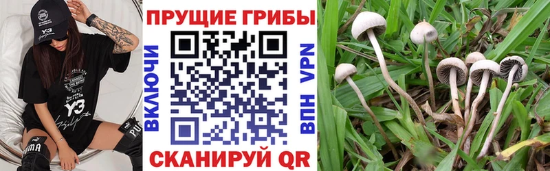 Галлюциногенные грибы мухоморы  Купить где  Южно-Сухокумск 